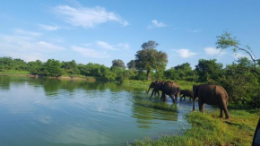 Kuma Safari Lodge